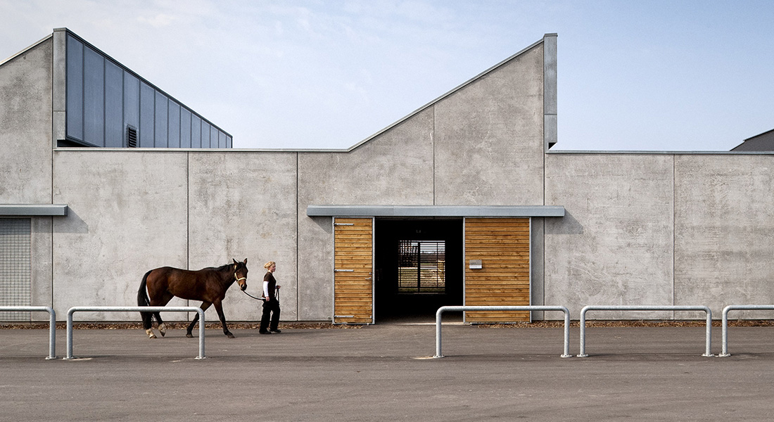 Hest og dyrlæge udenfor hospitalet