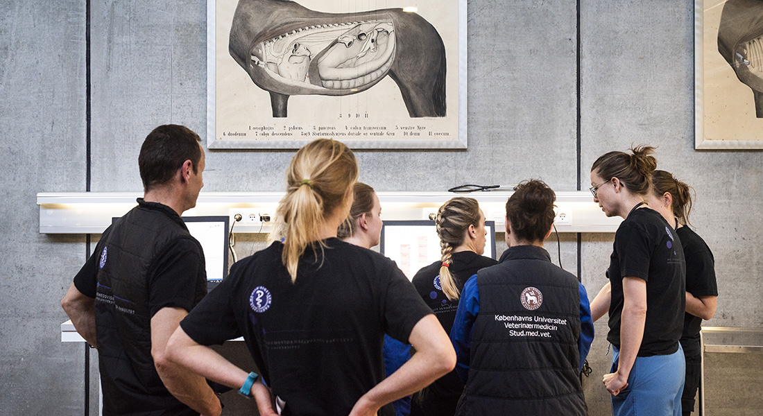 Studerende. Foto: SkipperPhotography