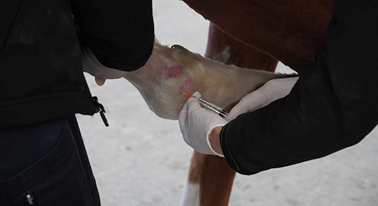 Blokade