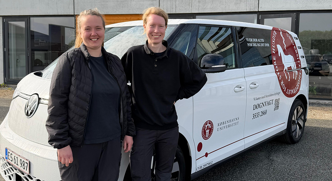 Udkørende praksis